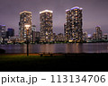 豊洲公園も夜景 113134706