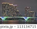 豊洲公園も夜景 113134715