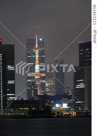 豊洲公園も夜景 113134716