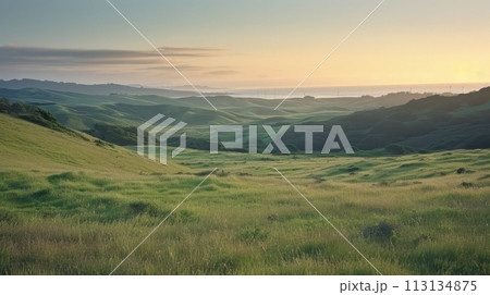 Nature conservation: panoramic landscape of coastline gass field hill 113134875