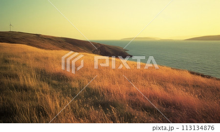 Nature conservation: panoramic landscape of coastline gass field hill 113134876