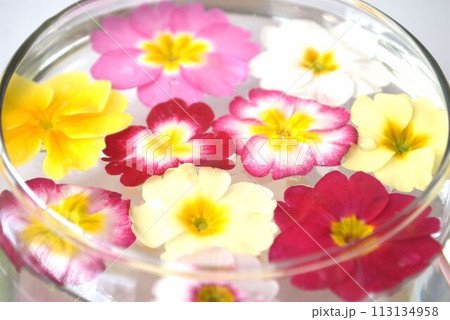 ガラスの器に浮かべたエディブルフラワー 113134958
