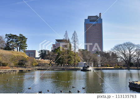 群馬県庁とさちの池 群馬県庁とさちの池 113135763