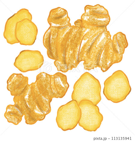 手描きで描いた生姜と生姜スライス 113135941