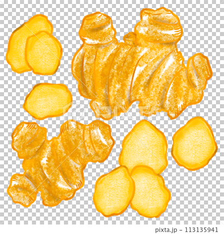 手描きで描いた生姜と生姜スライス 113135941