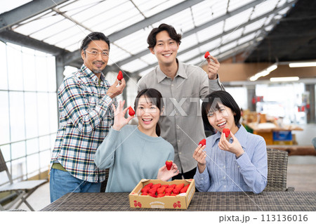 お店でイチゴを食べるシニアと若い男女 お店でイチゴを食べるシニアと若い男女 113136016