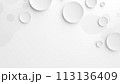 White abstract background with circles. 113136409