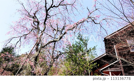 古法華自然公園 古法華自然公園 113136778