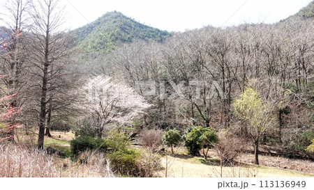 古法華自然公園 113136949