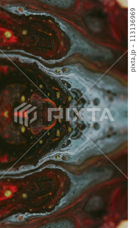Ink fractal. Cyber portal. Defocused red yellow blue black color shiny texture acrylic fluid drop mix symmetrical futuristic design abstract art background. Ink fractal. Cyber portal. Defocused red yellow blue black color shiny texture acrylic fluid drop mix symmetrical futuristic design abstract art background. 113136969