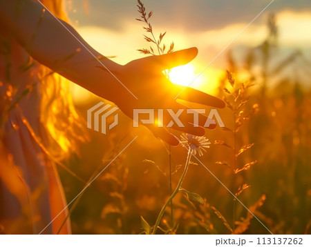 Hand silhouetted against a stunning sunset, capturing the beauty of the moment 113137262