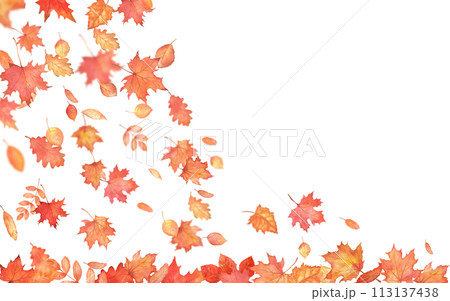 Watercolor corner decoration. Autumn falling leaves on transparent background. Autumnal foliage fall and orange maple leaves flying in wind motion blur. 113137438