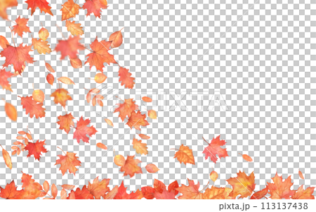 Watercolor corner decoration. Autumn falling leaves on transparent background. Autumnal foliage fall and orange maple leaves flying in wind motion blur. 113137438