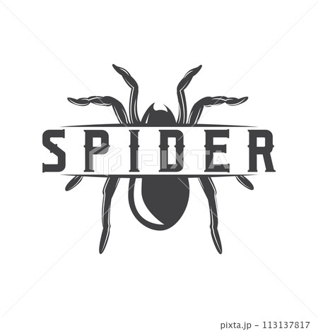 Retro animal insect spider logo design vintage illustration simple black silhouette template 113137817