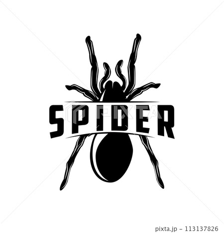 Retro animal insect spider logo design vintage illustration simple black silhouette template 113137826