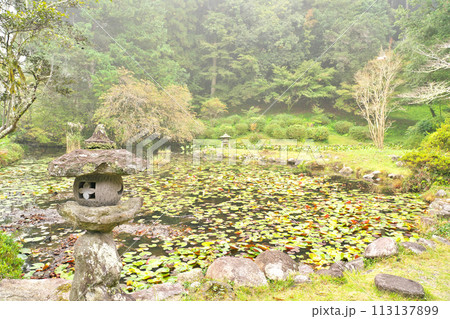【霧の中の幽霊寺 (永国寺)】 熊本県人吉市土手町 【霧の中の幽霊寺 (永国寺)】 熊本県人吉市土手町 113137899