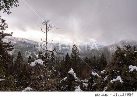 Winter in Yosemite 113137984