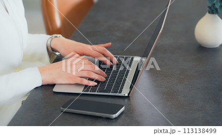 ノートパソコンで作業する女性 ノートパソコンで作業する女性 113138499