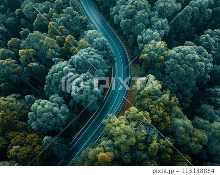 aerial view of a road in the forest 113138884