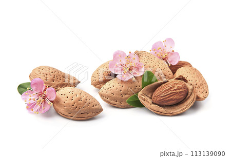 Almonds nuts with bloom flower almonds on white backgrounds 113139090
