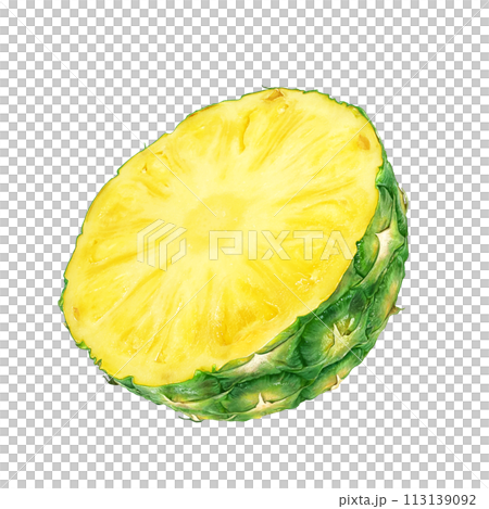 パイナップル イラスト リアル 113139092