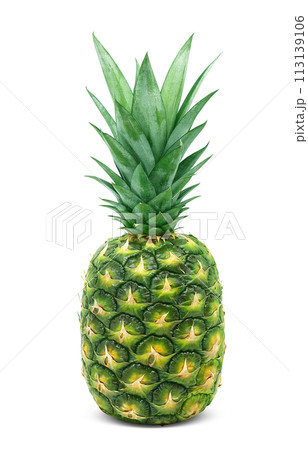 パイナップルのイラスト リアル パイナップルのイラスト リアル 113139106