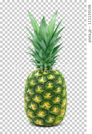 パイナップルのイラスト リアル パイナップルのイラスト リアル 113139106