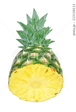 パイナップルのイラスト リアル 113139113