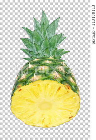 Pineapple illustration realistic 113139113