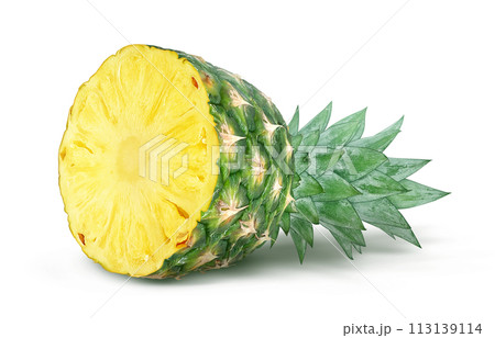 パイナップルのイラスト リアル パイナップルのイラスト リアル 113139114