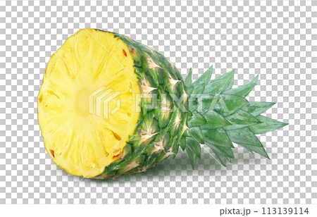 パイナップルのイラスト リアル パイナップルのイラスト リアル 113139114