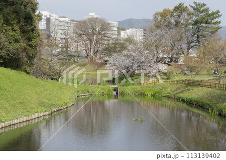 湯築城跡 湯築城跡 113139402