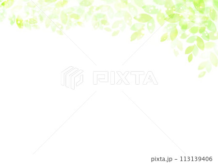 新緑イメージ水彩風背景 113139406