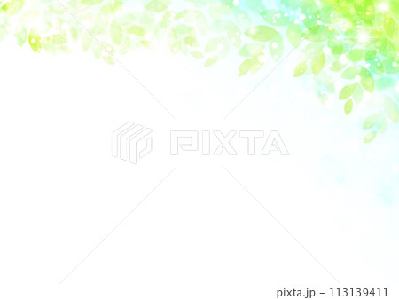 新緑イメージ背景 新緑イメージ背景 113139411