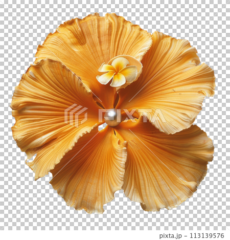Frangipani Flower with Pearl in Center 113139576