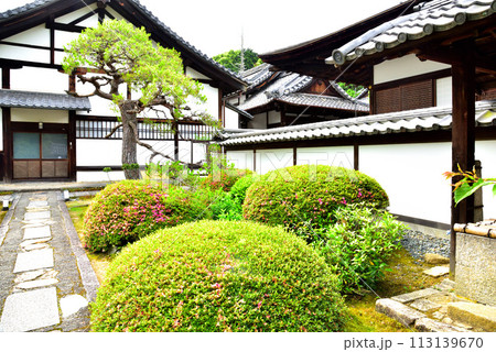 京都市 泉涌寺別院 雲龍院 新緑 113139670