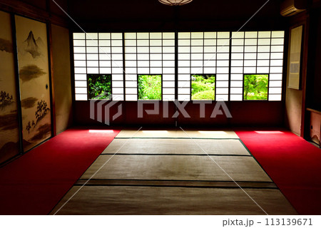 京都市 泉涌寺別院 雲龍院 新緑 京都市 泉涌寺別院 雲龍院 新緑 113139671