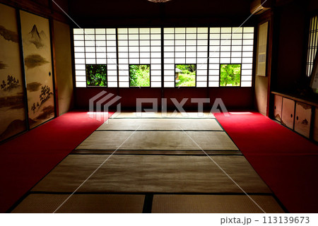 京都市 泉涌寺別院 雲龍院 新緑 京都市 泉涌寺別院 雲龍院 新緑 113139673