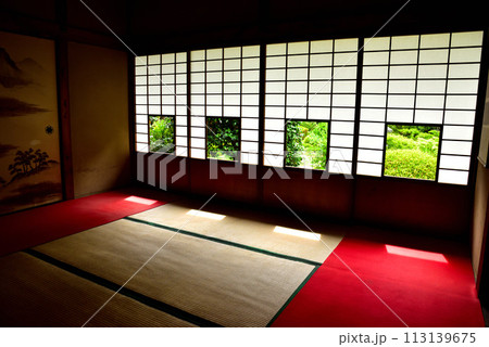 京都市 泉涌寺別院 雲龍院 新緑 113139675