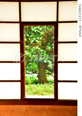 京都市 泉涌寺別院 雲龍院 新緑 京都市 泉涌寺別院 雲龍院 新緑 113139941