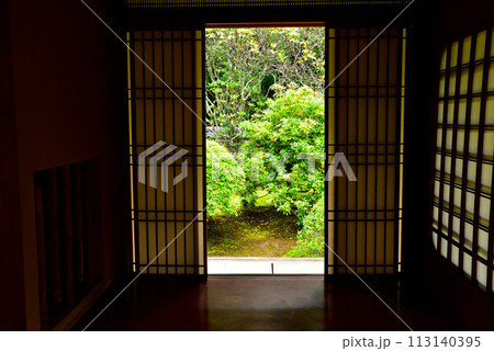 京都市 泉涌寺別院 雲龍院 新緑 113140395