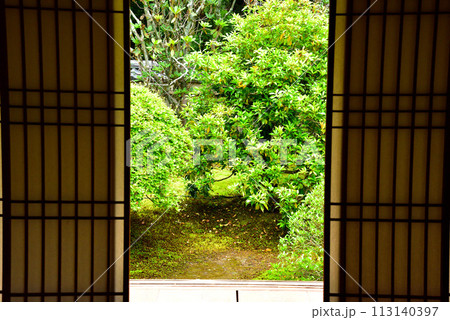 京都市 泉涌寺別院 雲龍院 新緑 113140397