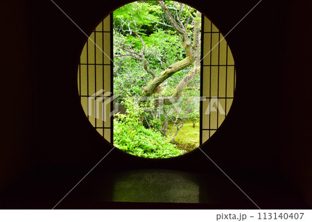 京都市 泉涌寺別院 雲龍院 新緑 京都市 泉涌寺別院 雲龍院 新緑 113140407