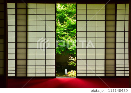 京都市 泉涌寺別院 雲龍院 新緑 113140489