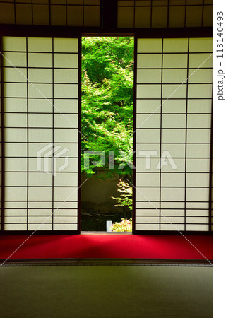 京都市 泉涌寺別院 雲龍院 新緑 113140493