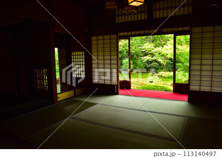 京都市 泉涌寺別院 雲龍院 新緑 113140497