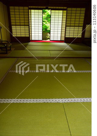 京都市 泉涌寺別院 雲龍院 新緑 京都市 泉涌寺別院 雲龍院 新緑 113140686