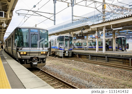敦賀駅の在来線ホームに停車する列車群 敦賀駅の在来線ホームに停車する列車群 113141432
