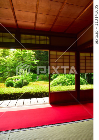 京都市 泉涌寺別院 雲龍院 新緑 113141605