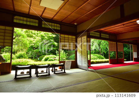 京都市 泉涌寺別院 雲龍院 新緑 113141609